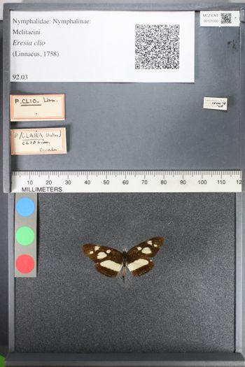 Media type: image;   Entomology 101050